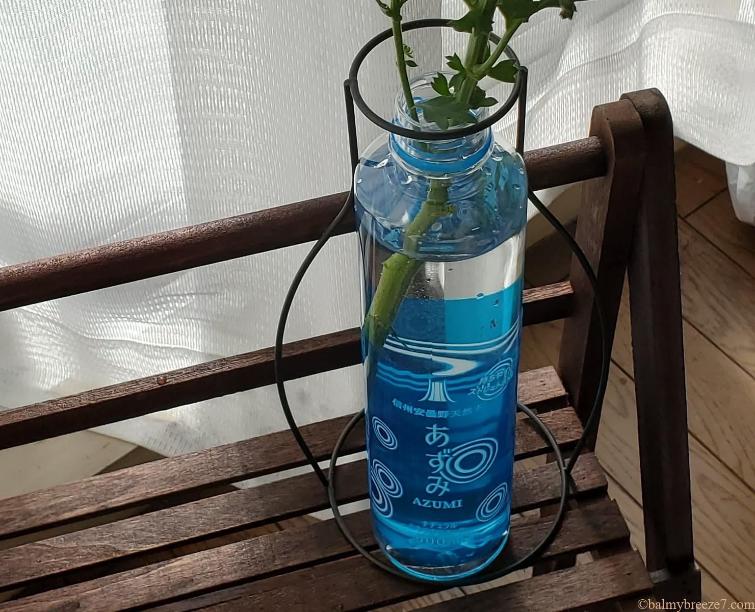 put a flower in the azumi pet bottle vase